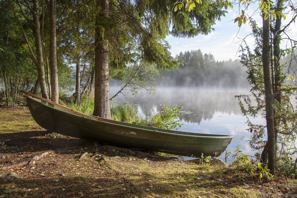 boat, river, forest-6579441.jpg